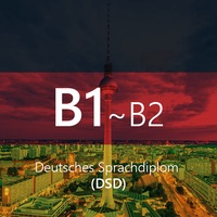 Deutsches Sprachdiplom (DSD)-banner