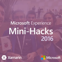 Microsoft 'Experience'